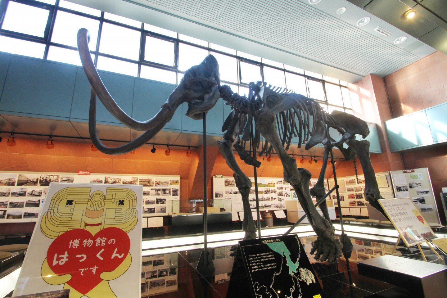 🏛️ 쿠시로 시립 박물관 이미지 7